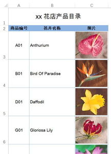 如何制作圖片產品目錄