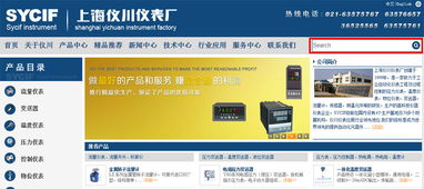 上海儀川儀表廠