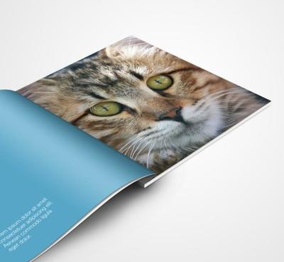 封面250克過(guò)膜 宣傳冊(cè)印刷 產(chǎn)品目錄印刷 東莞印刷廠家圖片_高清圖_細(xì)節(jié)圖-東莞市大嶺山鴻興印刷廠