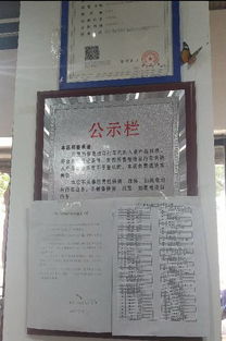 所有南昌車主 這件事千萬別做,逮著一次罰50 還要新增一批電子警察,馬上上崗